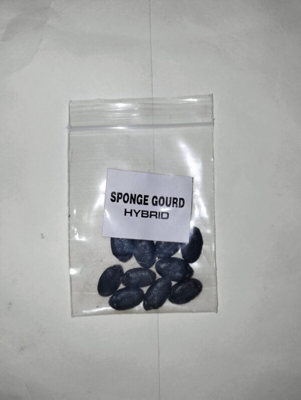 Sponge Gourd F1 Seeds