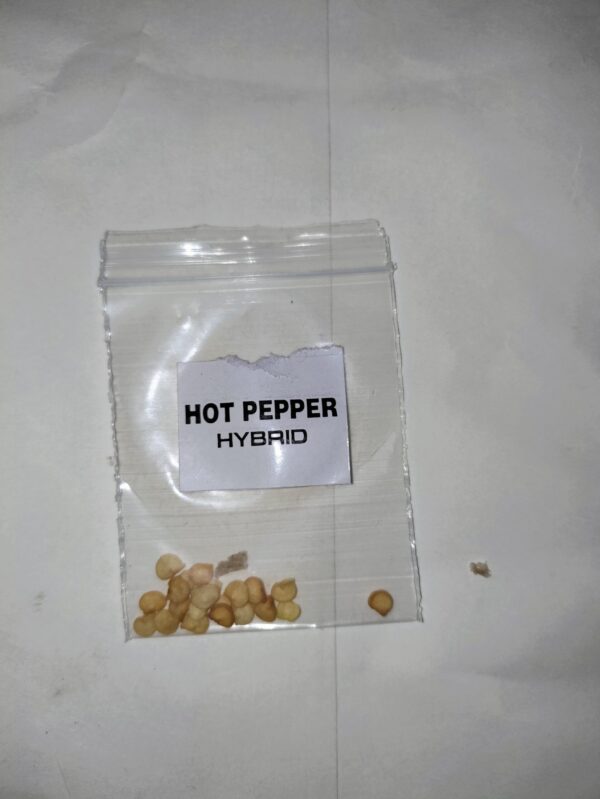 Hot Pepper F1 Seeds