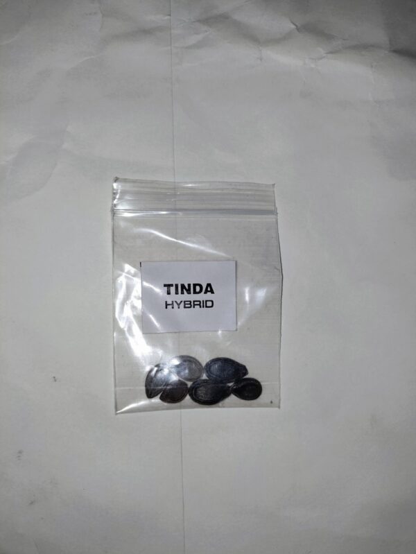 Tinda F1 Seeds