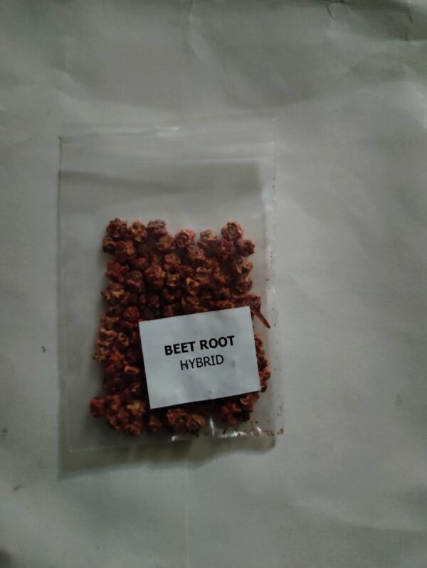 BeetRoot F1 Seeds